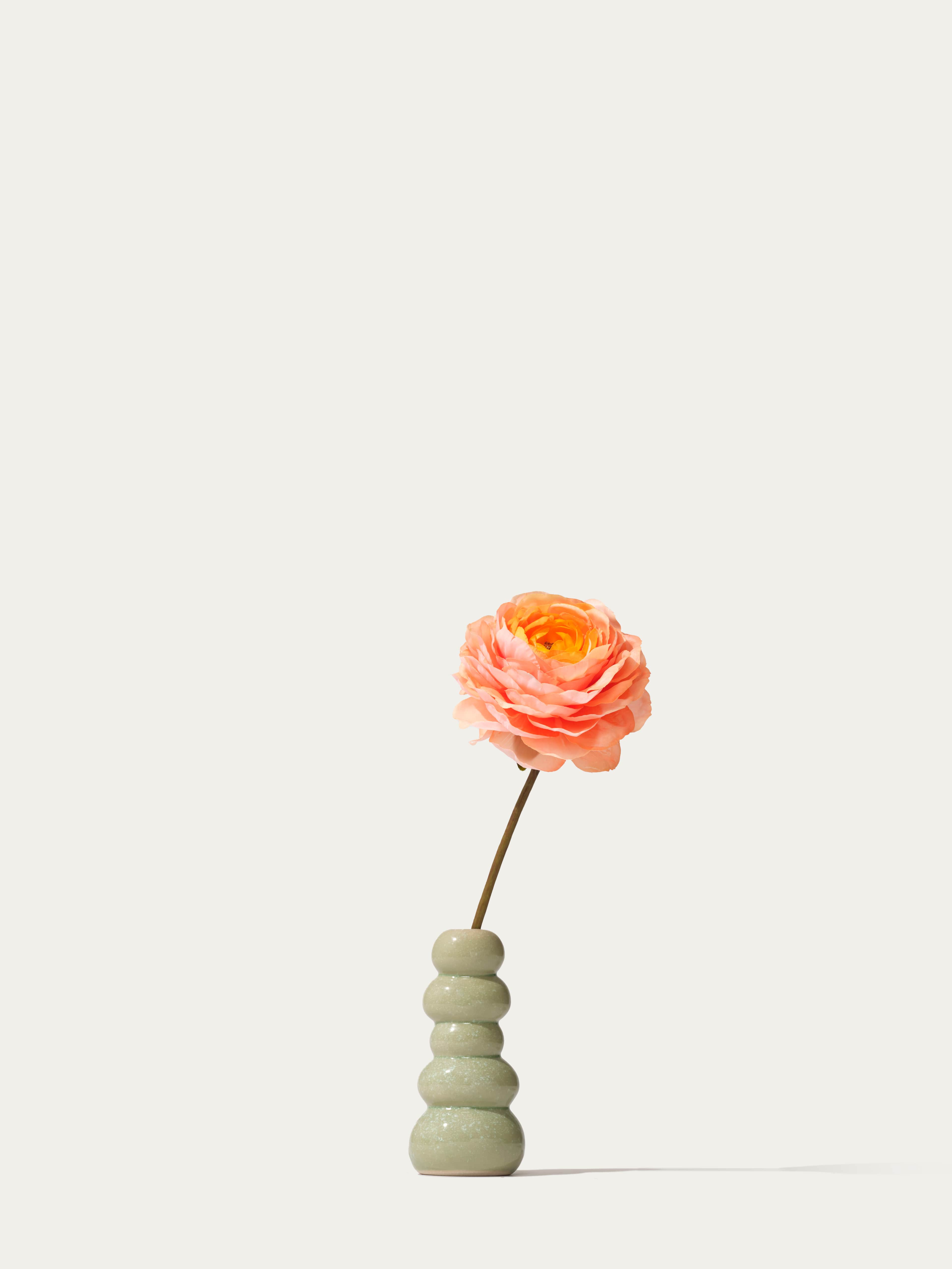 The Mini Ranunculus