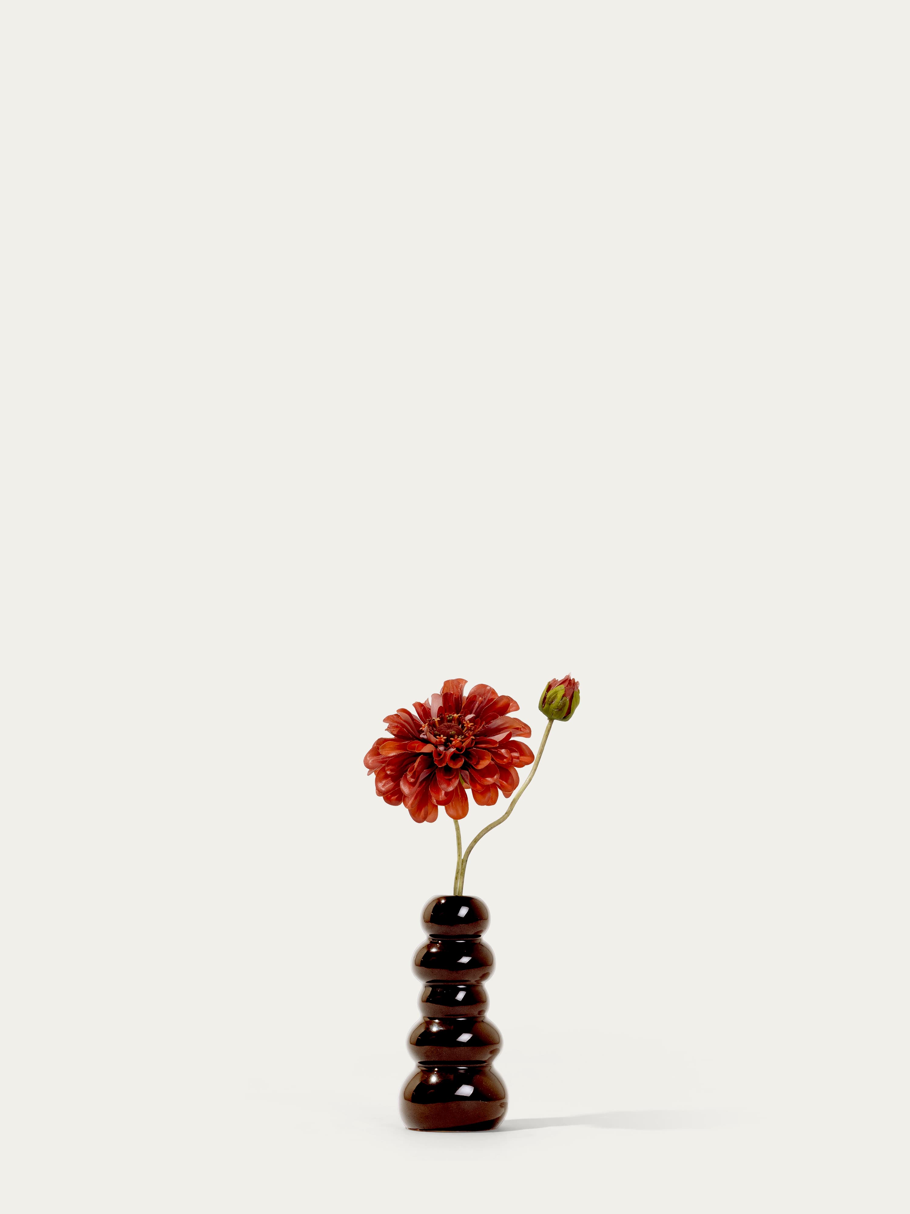The Mini Zinnia